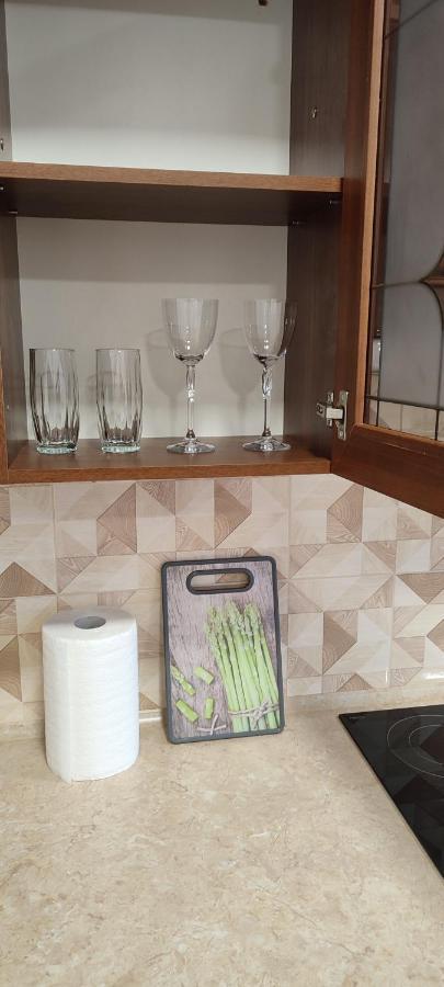 Sweethomeapartment Камианец-Подилский Екстериор снимка